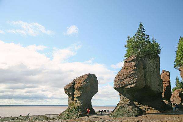 La côte atlantiqant-pue à marée basse. En avlan, il y a deux très gros rochers avec de la végétation au sommet.