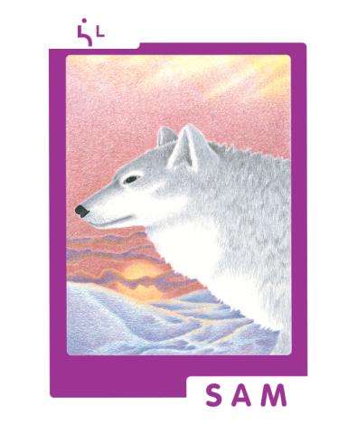 Affiche : Sam le Loup gris